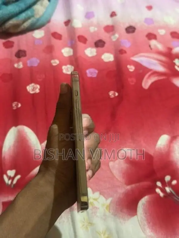 Apple iPhone 13 Pro Max (Used)