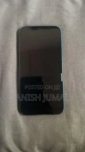 Apple iPhone 12 (Used)