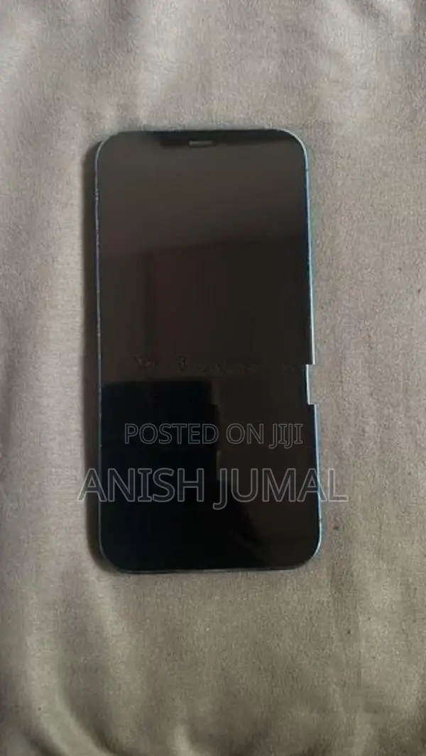 Apple iPhone 12 (Used)