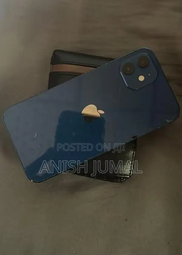 Apple iPhone 12 (Used)