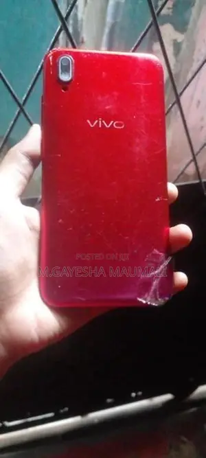 Vivo Y11 (Used)