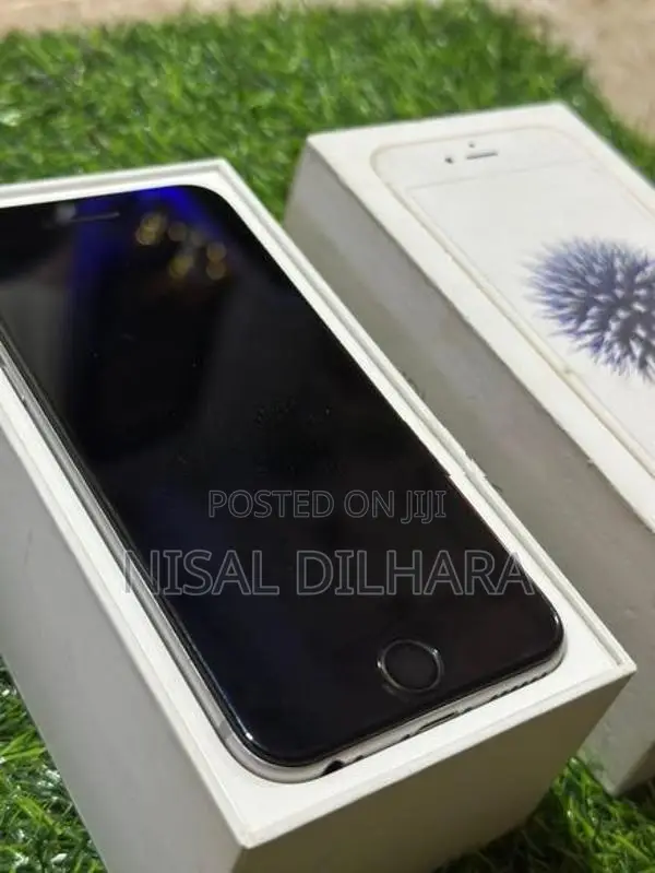 Apple iPhone 6S (Used)