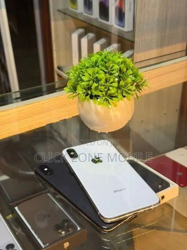 Apple iPhone XS 256GB (Used)