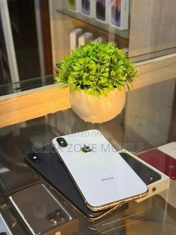 Apple iPhone XS 256GB (Used)