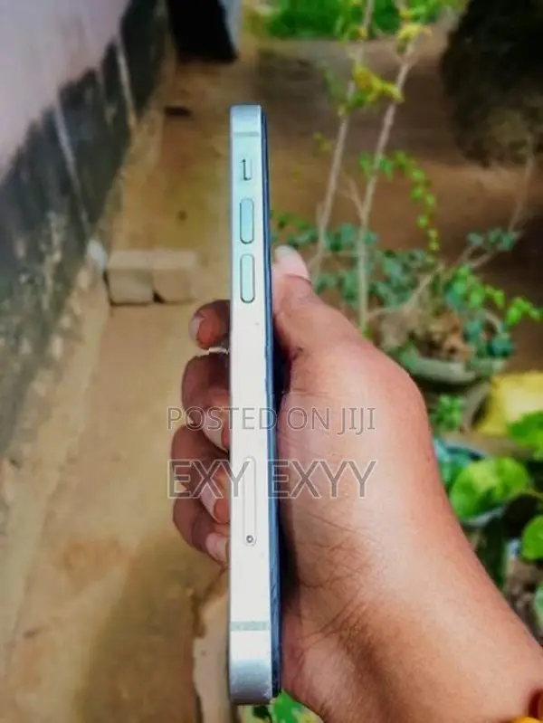 Apple iPhone 12 mini (Used)