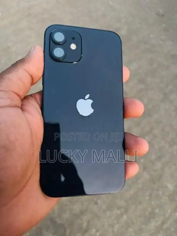 Apple iPhone 12 (Used)