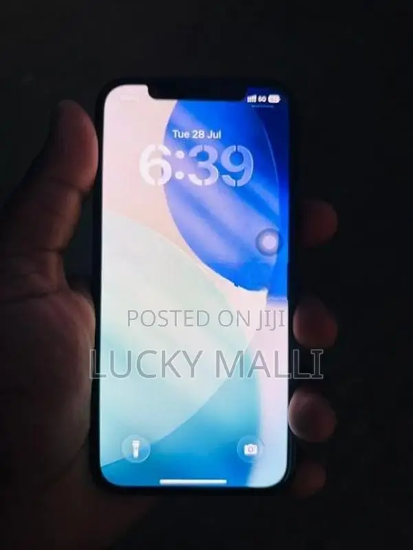Apple iPhone 12 (Used)