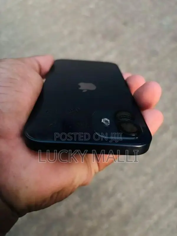 Apple iPhone 12 (Used)