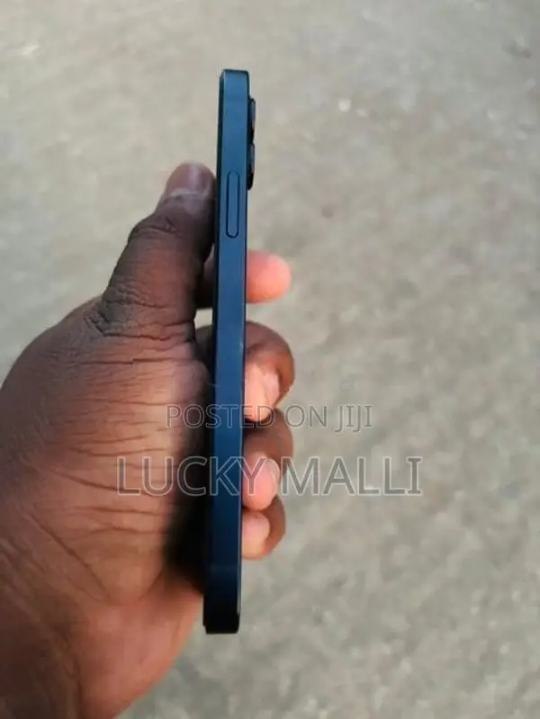 Apple iPhone 12 (Used)