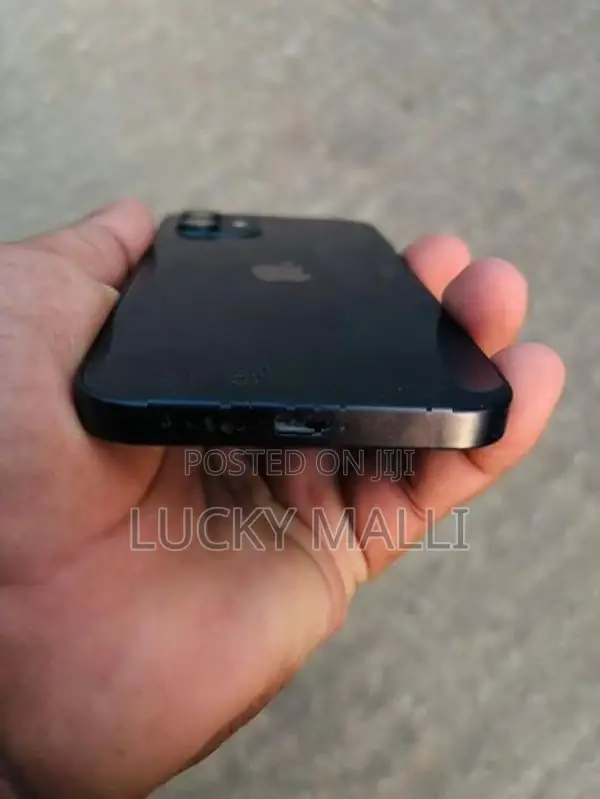 Apple iPhone 12 (Used)