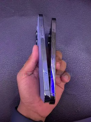 Apple iPhone 13 Pro (Used)