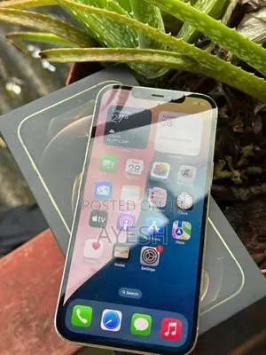 Apple iPhone 12 Pro Max 256GB (Used)