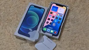 Apple iPhone 12 (Used)