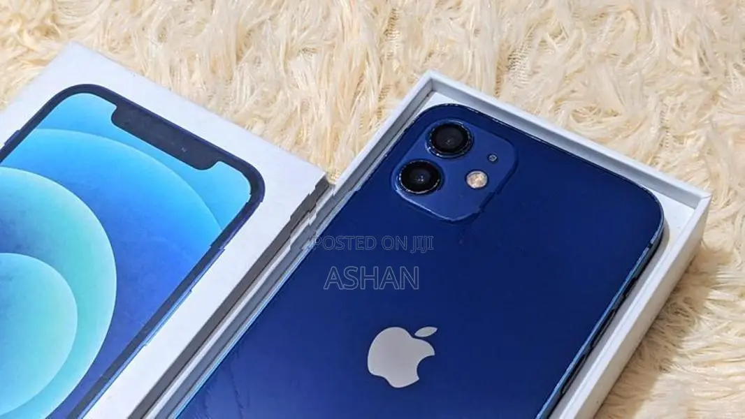 Apple iPhone 12 (Used)