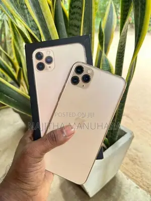 Apple iPhone 11 Pro Max (Used)