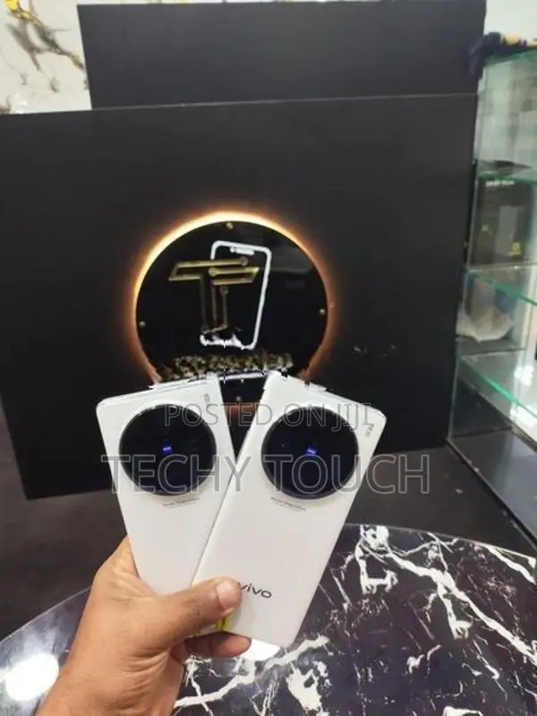 Vivo X100 Pro (Used)