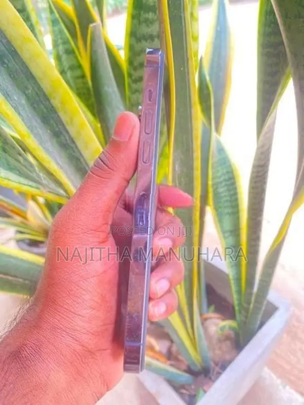 Apple iPhone 14 Pro Max (Used)