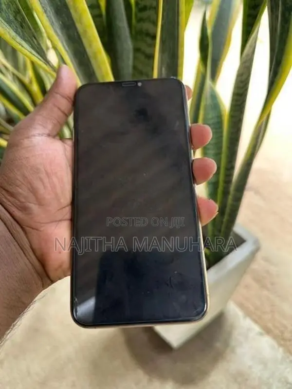 Apple iPhone 11 Pro Max (Used)