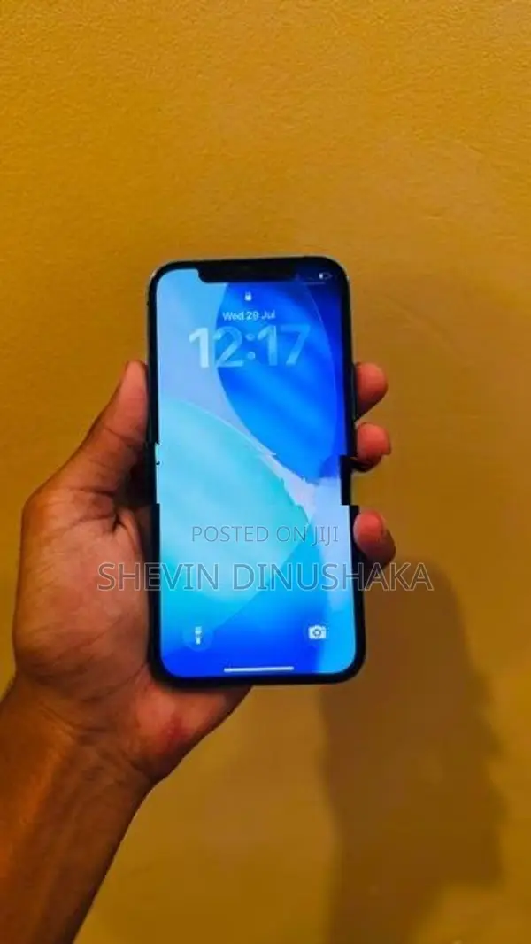 Apple iPhone 12 (Used)