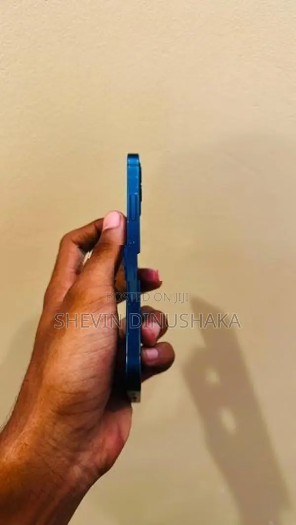 Apple iPhone 12 (Used)