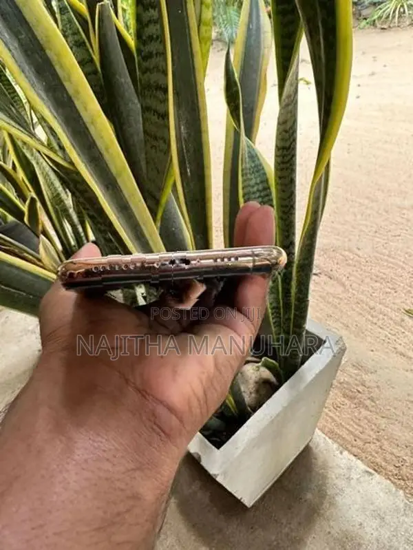 Apple iPhone 11 Pro Max (Used)