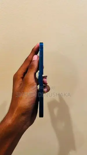 Apple iPhone 12 (Used)