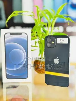 Apple iPhone 12 (Used)