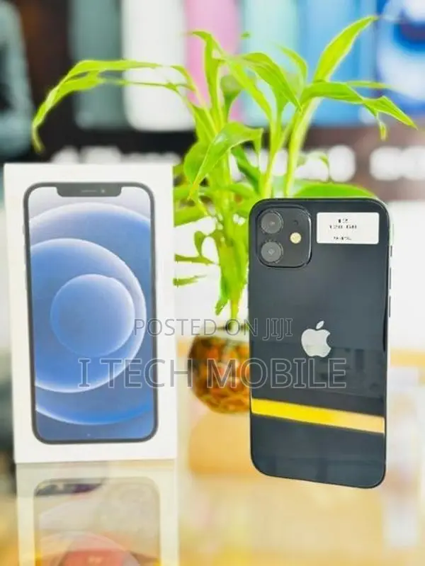 Apple iPhone 12 (Used)