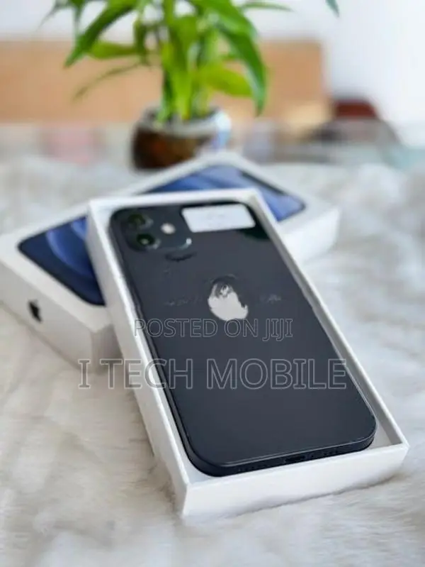 Apple iPhone 12 (Used)