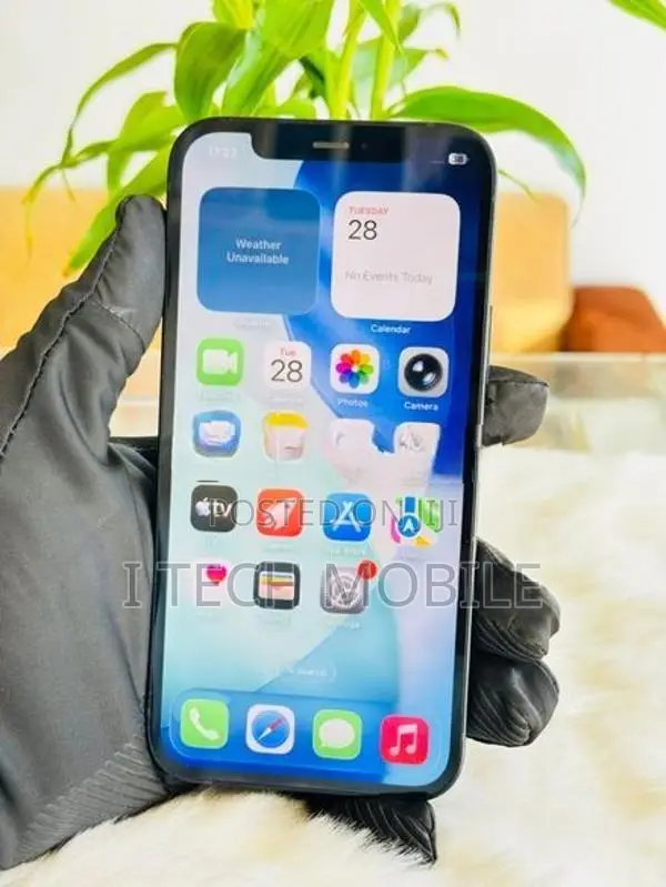 Apple iPhone 12 (Used)