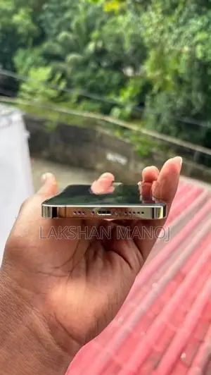 Apple iPhone 12 Pro 256GB (Used)