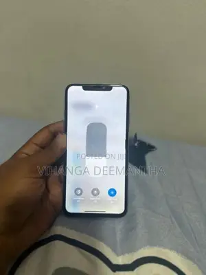 Apple iPhone XS Max 256GB (Used)