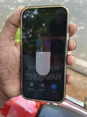 Apple iPhone 12 (Used)