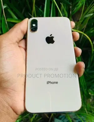 Apple iPhone XS 256GB (Used)