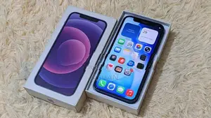 Apple iPhone 12 mini (Used)