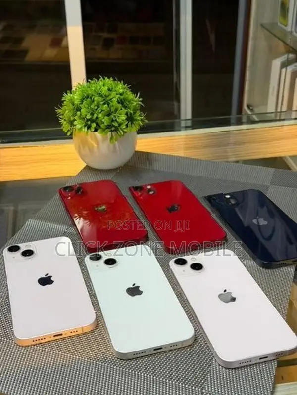 Apple iPhone 13 256GB (Used)