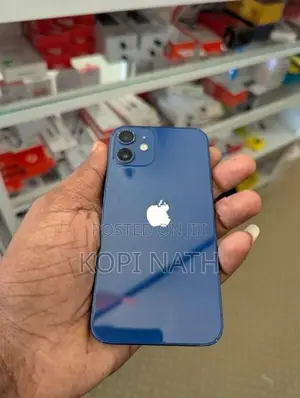 Apple iPhone 12 mini (Used)