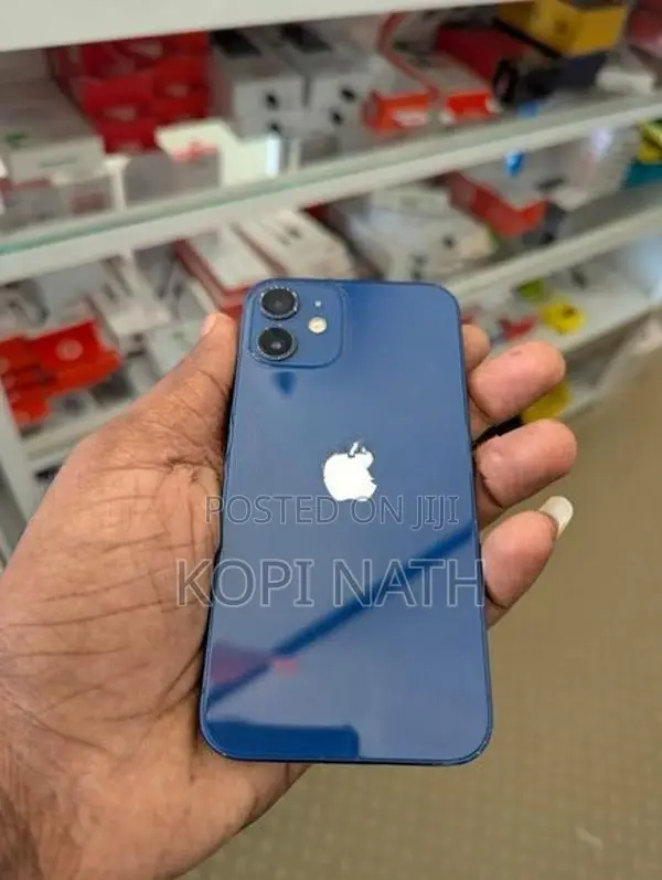 Apple iPhone 12 mini (Used)