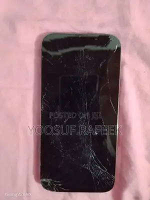 Apple iPhone 13 Pro Max (Used)