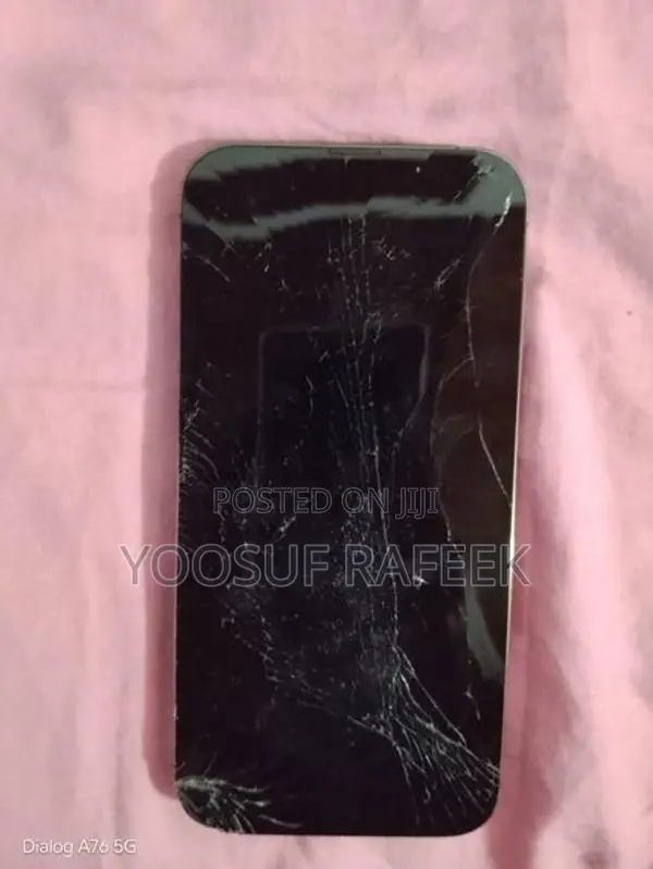 Apple iPhone 13 Pro Max (Used)