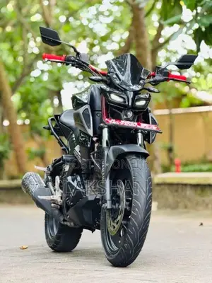 Yamaha MT-15 2019 Motorbike (Used)
