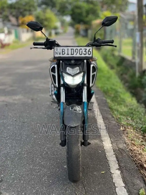 Yamaha FZ-S 2019 Motorbike (Used)