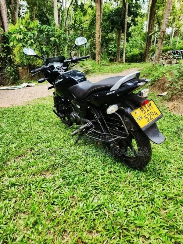 Bajaj Pulsar 150 2019 Motorbike (Used)