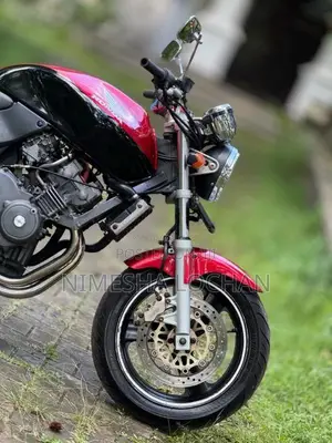 Honda Hornet 2024 Motorbike (Used)