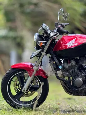 Honda Hornet 2024 Motorbike (Used)