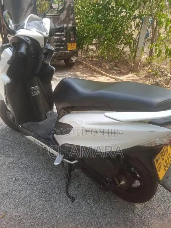 Honda Grazia 2019 Motorbike (Used)
