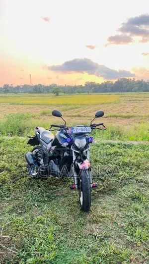Yamaha FZ 2010 Motorbike (Used)