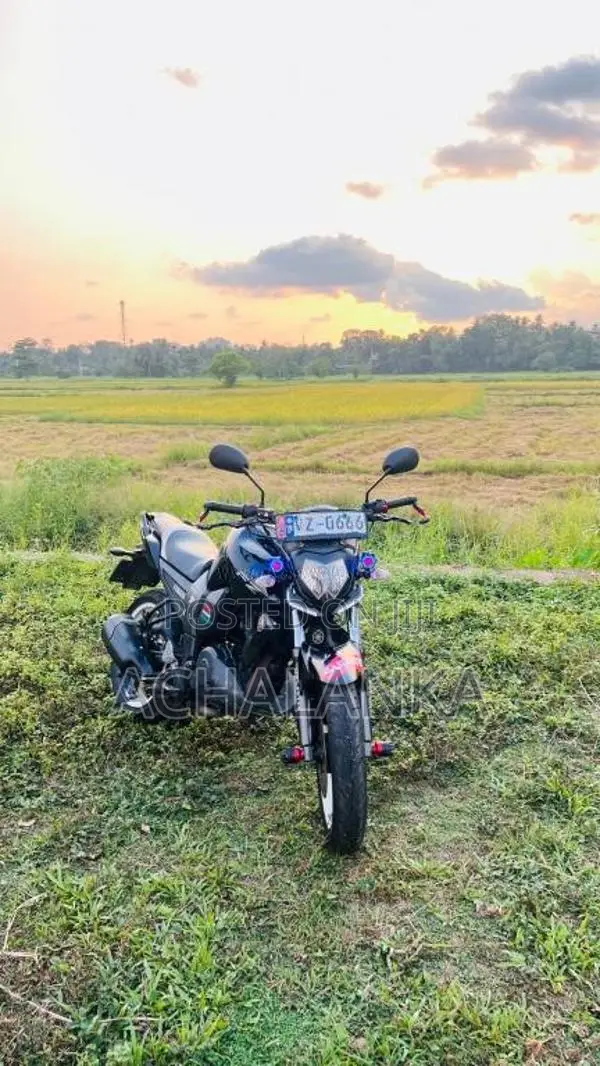 Yamaha FZ 2010 Motorbike (Used)
