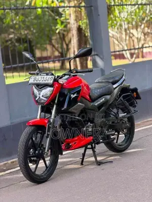 TVS Raider 125 2024 Motorbike (Used)