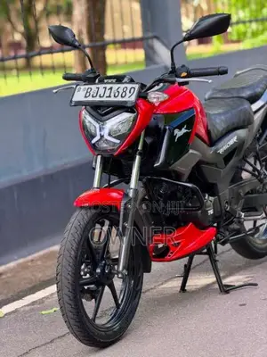 TVS Raider 125 2024 Motorbike (Used)